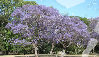 ciudad Autónoma de Buenos Aires